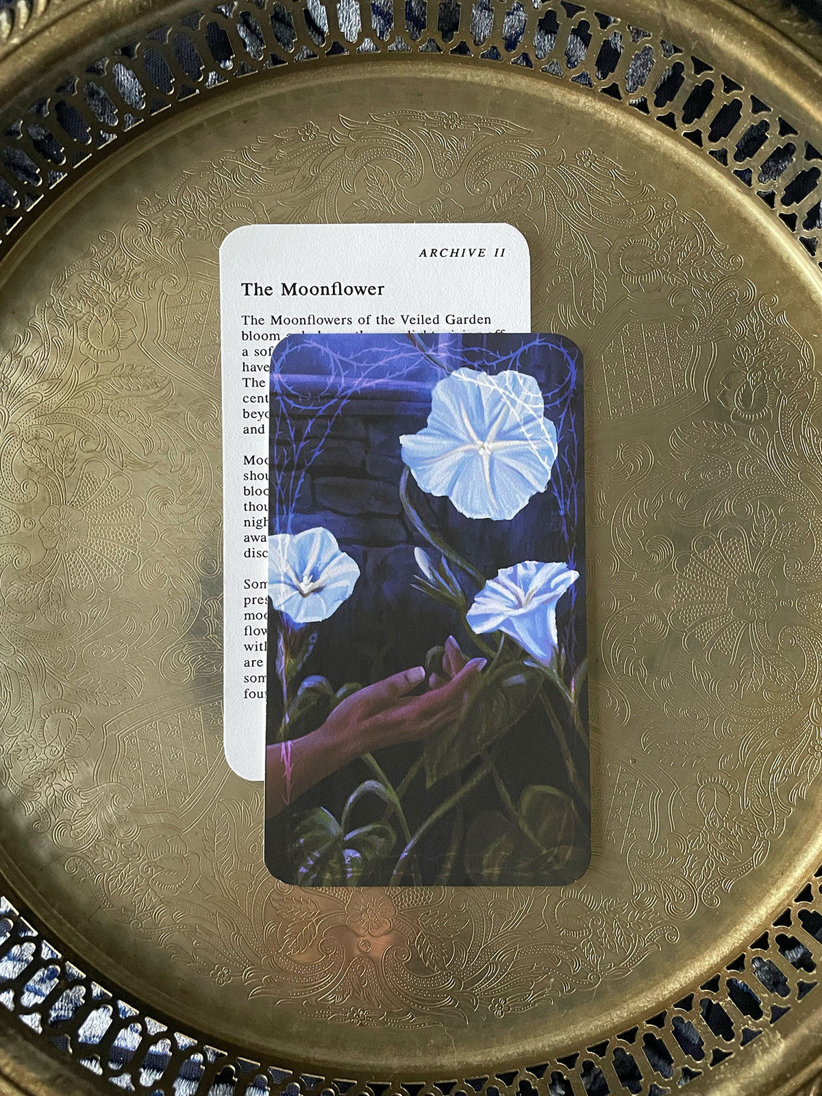 Moonveil Society Mail Club